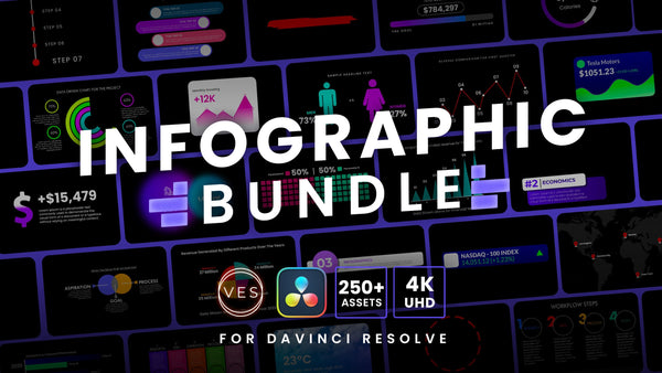 Infographic Bundle