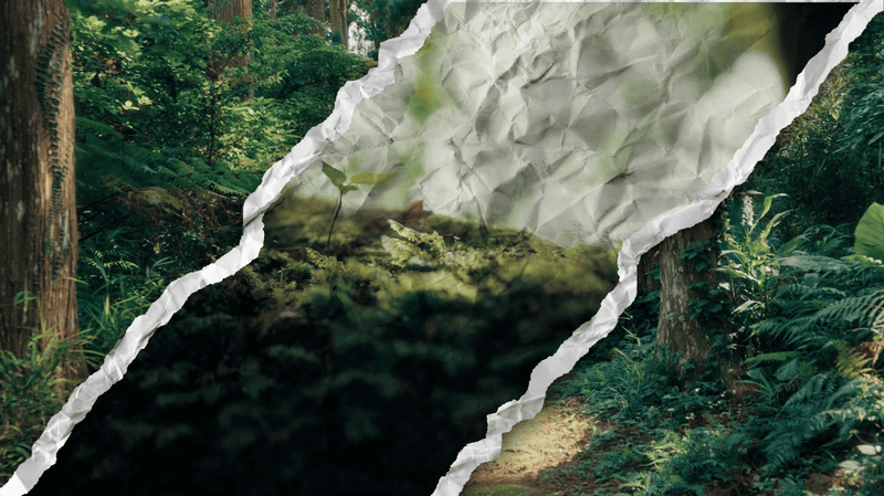 Paper Rip Transition Pack preview