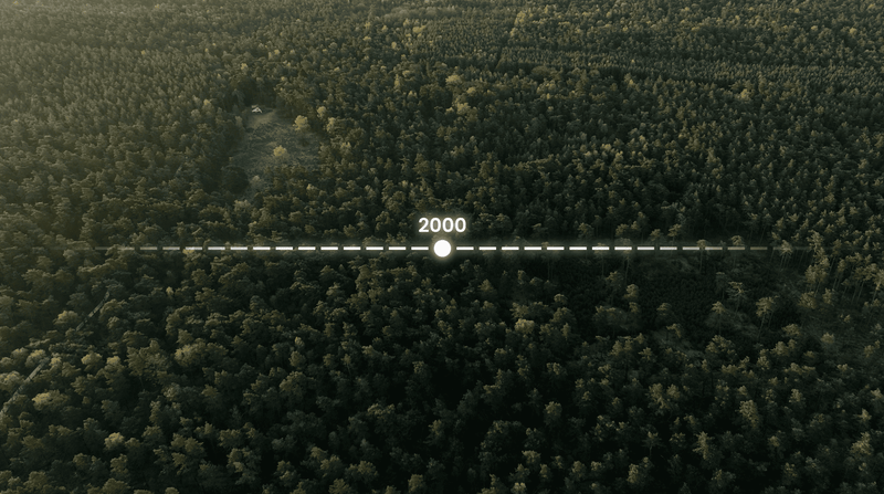 Timeline Pack preview